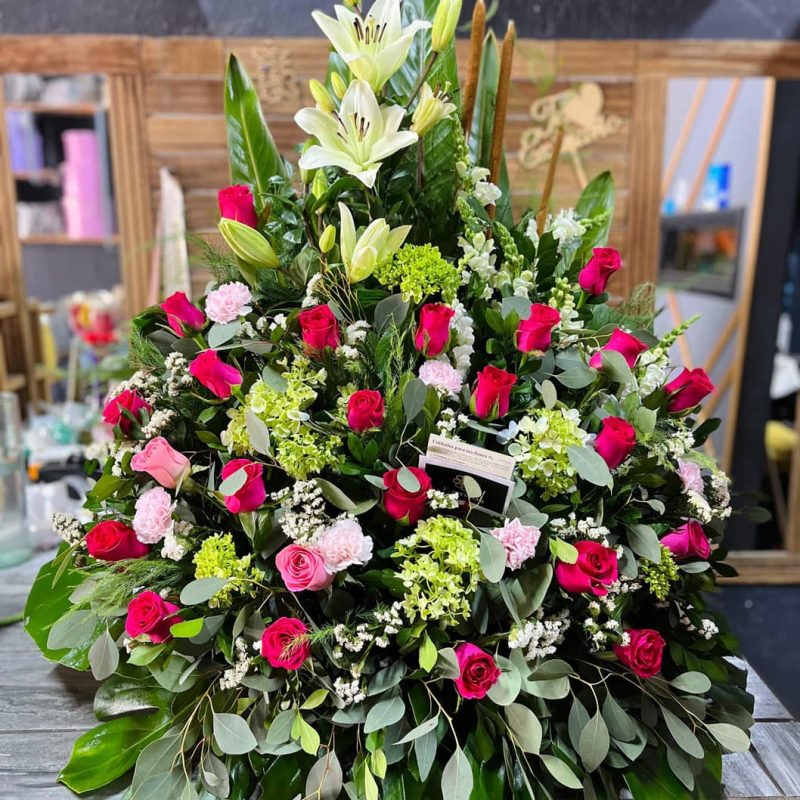 d8db9bcc-b4cf-4cd7-a05a-92fe8527139d